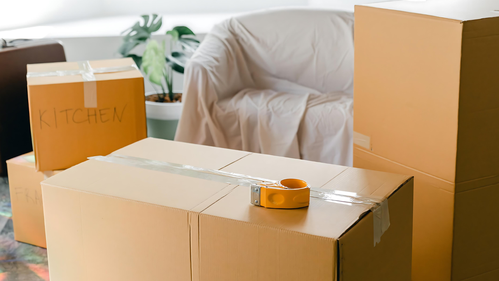 Before Move In / Move Out